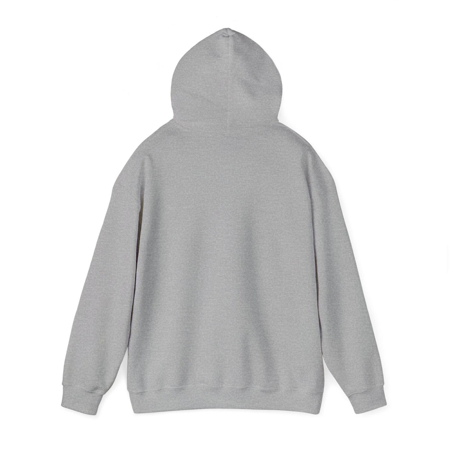 Forever Family - Unisex Hooded Sweatshirt32864450944282019192HoodieReady Set Monkey