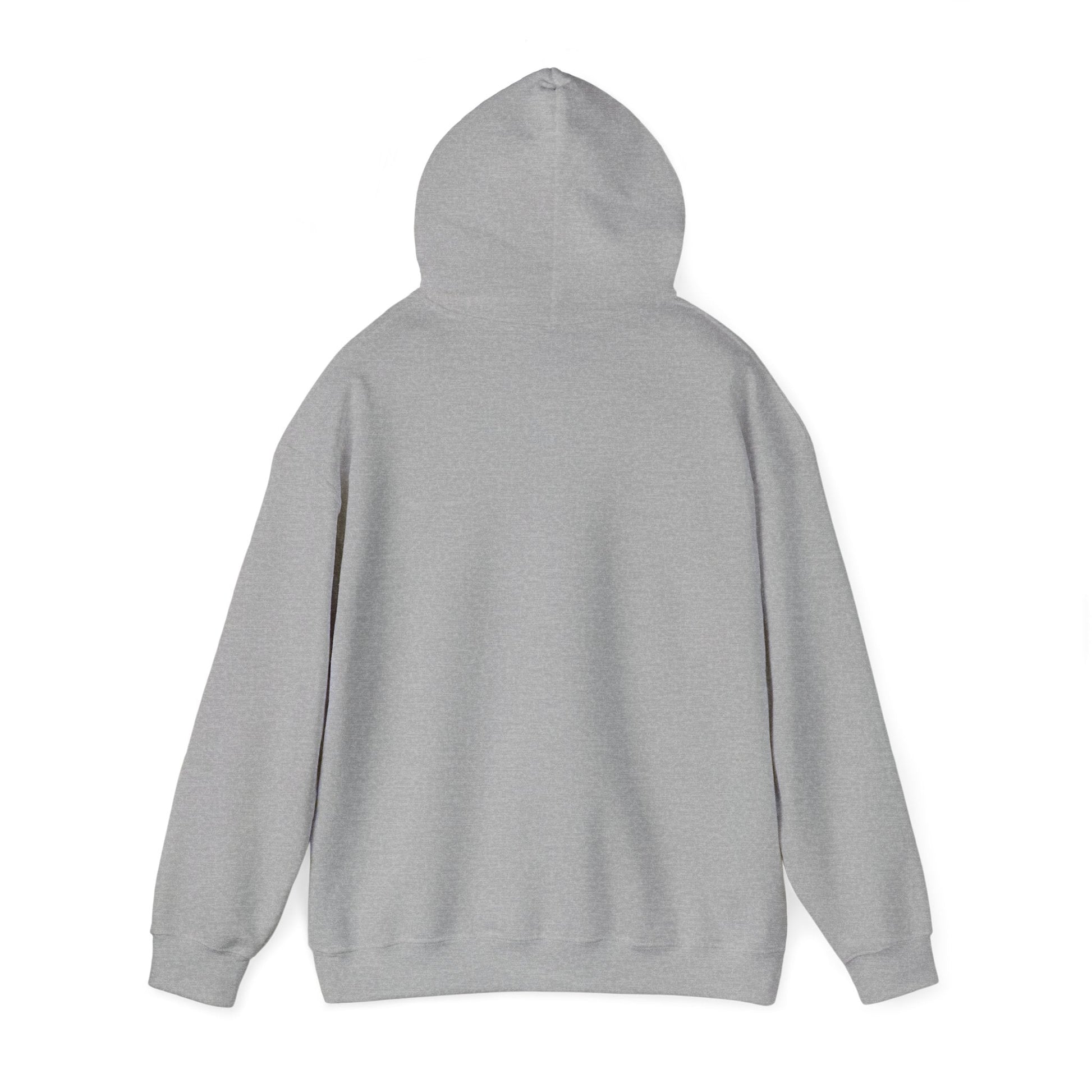 Forever Family - Unisex Hooded Sweatshirt32864450944282019192HoodieReady Set Monkey